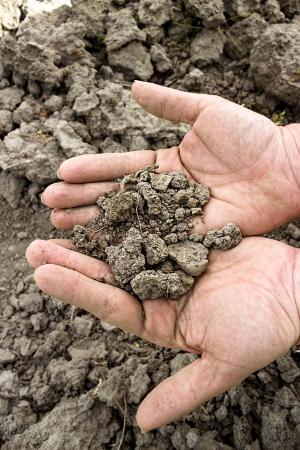 Dry Soil