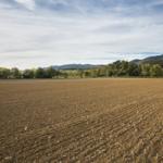 Tierra labrada Arado y laboreo