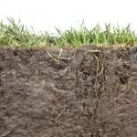 Profile of agricultural soil