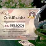 Mejor cuchilla de caña de azúcar 2015 Premio VisãoAgro de Brasil 2015